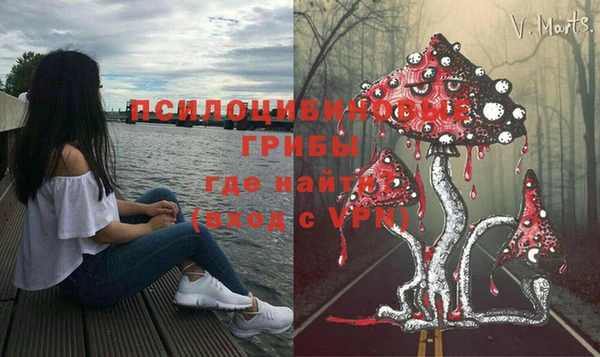 винт Армянск