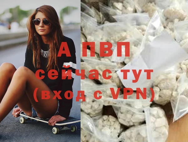 винт Армянск